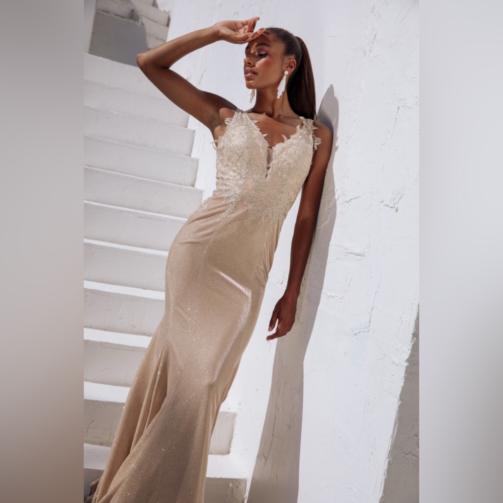 NWT- Evening Gown